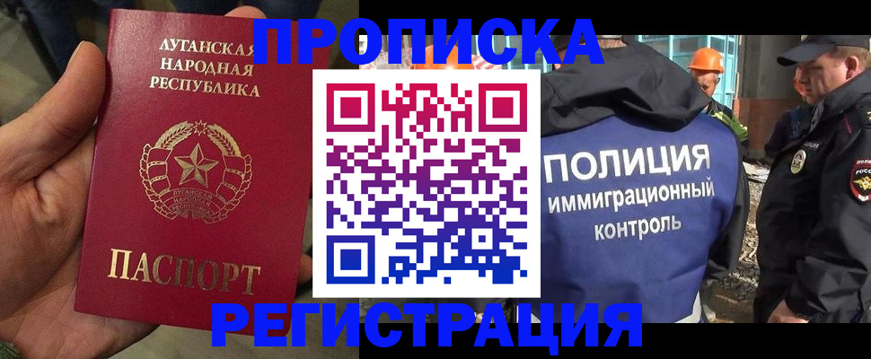 прописка поиск в Пестово