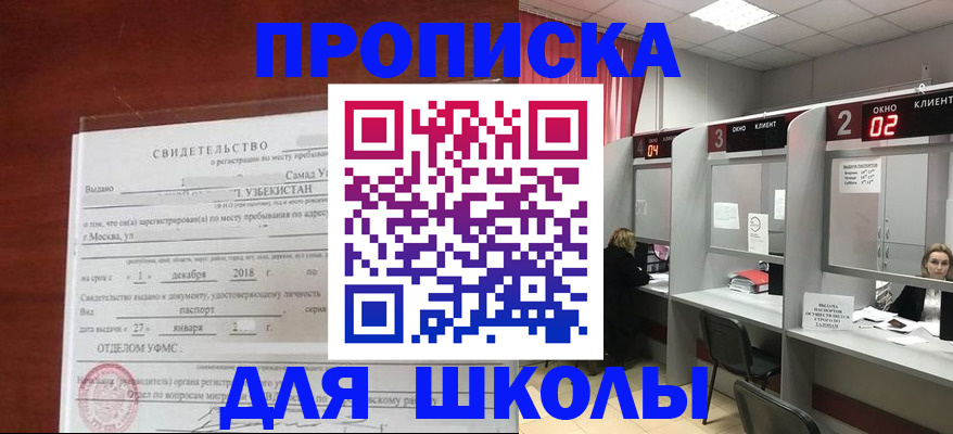 где прописаться в Пестово